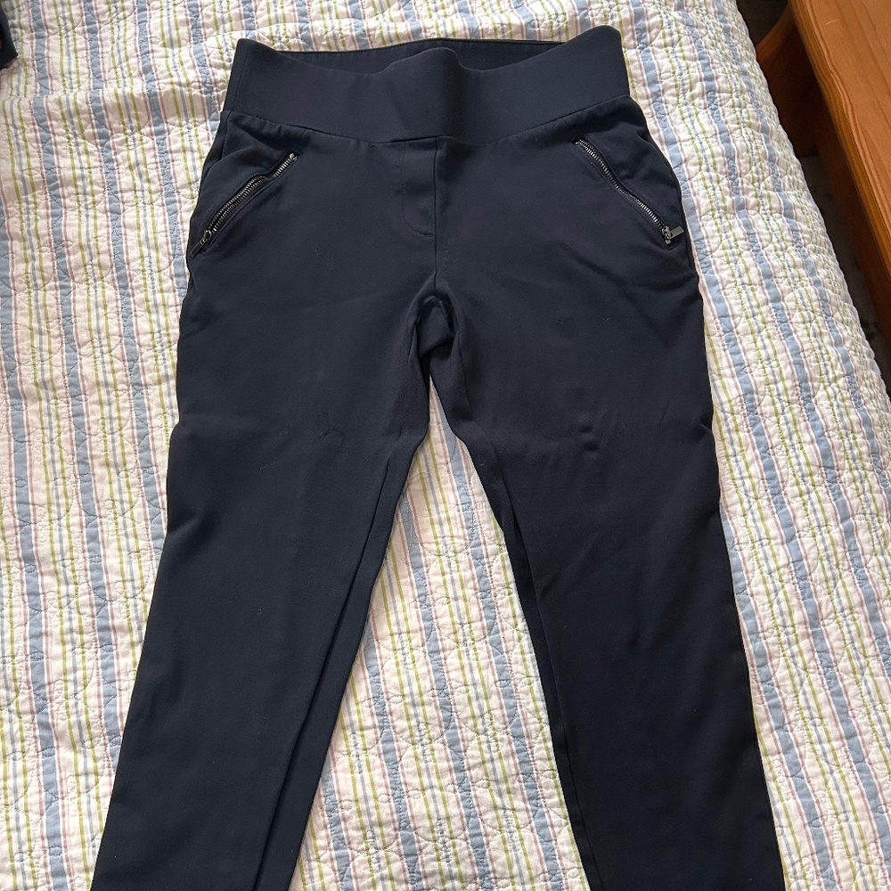 Ann Taylor pants